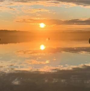 Meet your Posher, Carmel